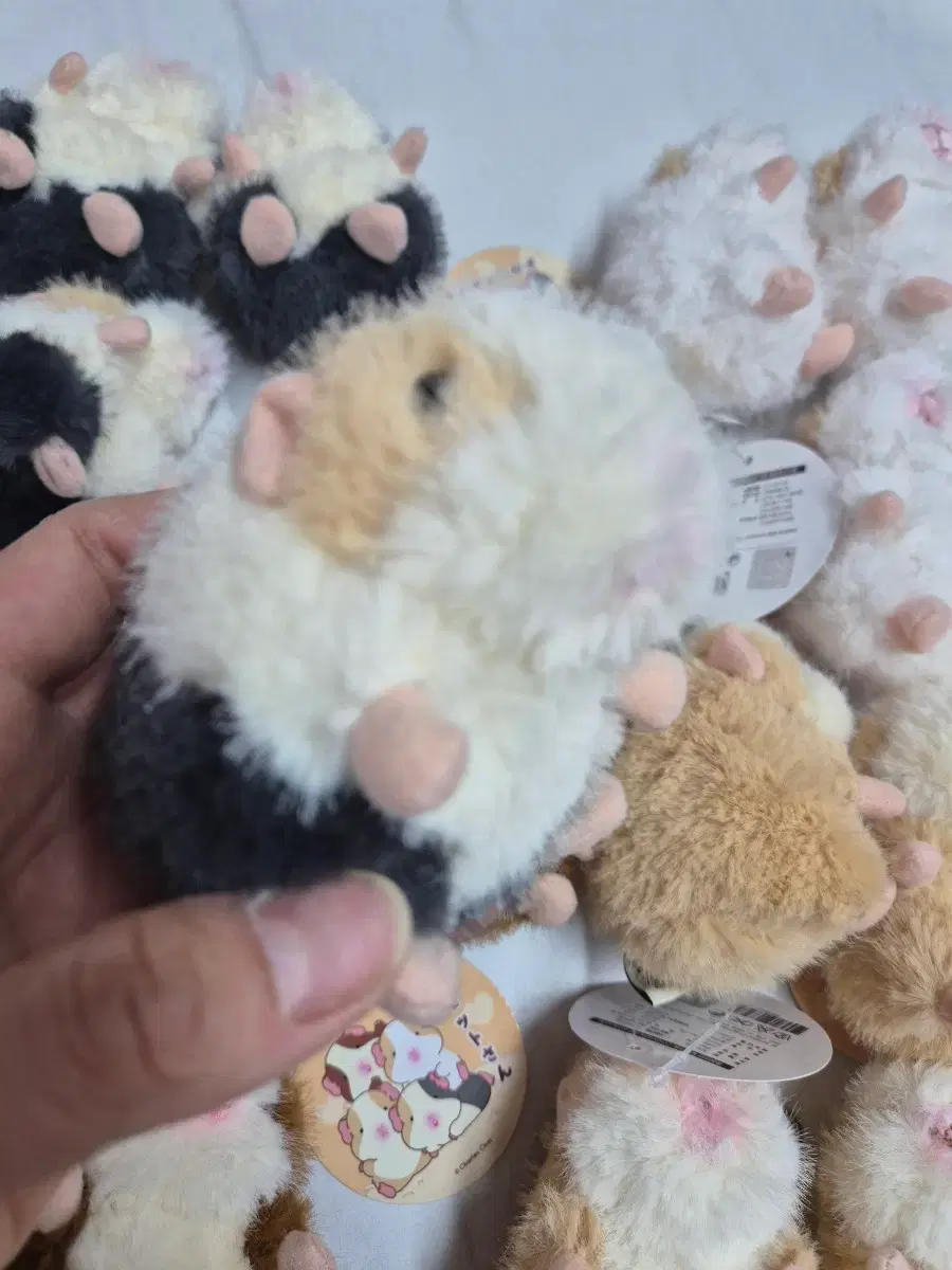 thumbnail-4